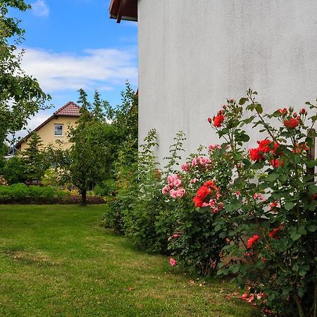 Hotel-Pension Am Rosarium Зангерхаузен Экстерьер фото