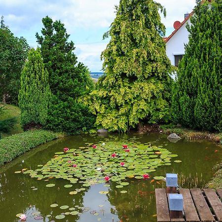 Hotel-Pension Am Rosarium Зангерхаузен Экстерьер фото