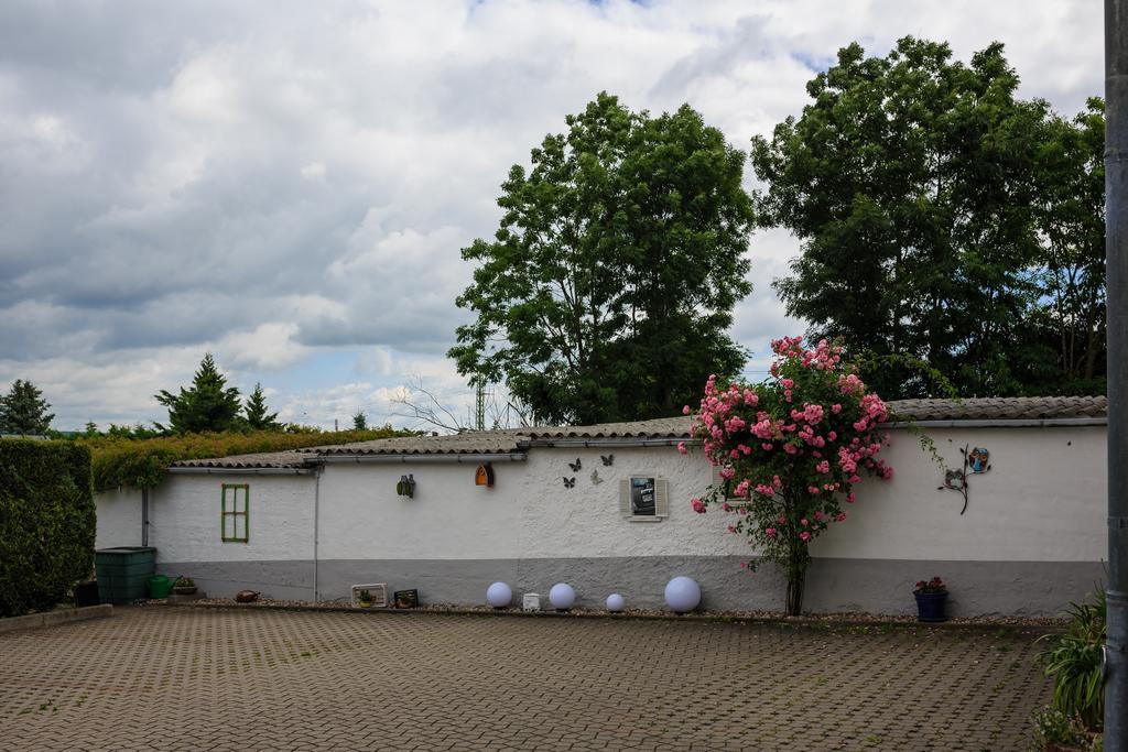 Hotel-Pension Am Rosarium Зангерхаузен Экстерьер фото